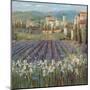 Provencal Village-Michael Longo-Mounted Art Print