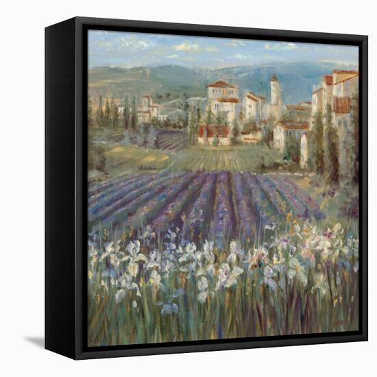 Provencal Village-Michael Longo-Framed Stretched Canvas