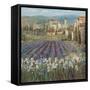 Provencal Village-Michael Longo-Framed Stretched Canvas