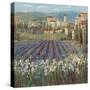 Provencal Village-Michael Longo-Stretched Canvas