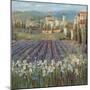 Provencal Village-Michael Longo-Mounted Premium Giclee Print