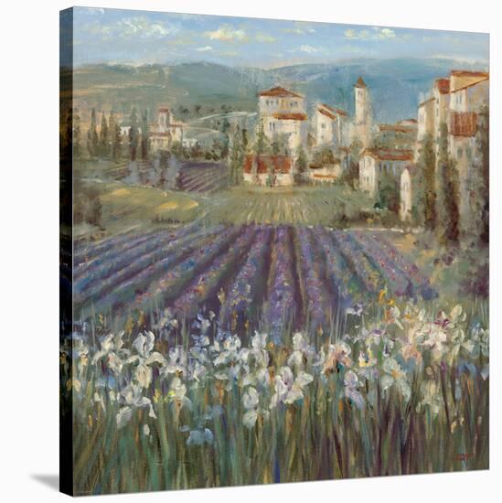 Provencal Village-Michael Longo-Stretched Canvas