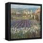 Provencal Village-Michael Longo-Framed Stretched Canvas