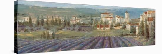 Provencal Village-Michael Longo-Stretched Canvas