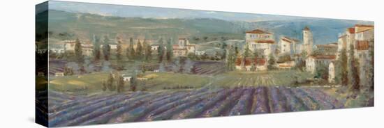 Provencal Village-Michael Longo-Stretched Canvas