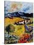 Provence 0707-Pol Ledent-Stretched Canvas