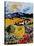 Provence 0707-Pol Ledent-Stretched Canvas