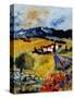 Provence 0707-Pol Ledent-Stretched Canvas