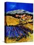 Provence 1225-Pol Ledent-Stretched Canvas