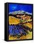 Provence 1225-Pol Ledent-Framed Stretched Canvas