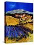 Provence 1225-Pol Ledent-Stretched Canvas