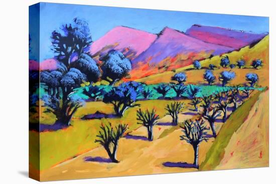 Provence, 2021 (acrylic on paper)-Paul Powis-Stretched Canvas