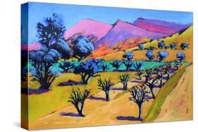 Provence, 2021 (acrylic on paper)-Paul Powis-Stretched Canvas