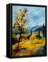 Provence 45 1107-Pol Ledent-Framed Stretched Canvas