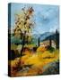 Provence 45 1107-Pol Ledent-Stretched Canvas