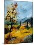 Provence 45 1107-Pol Ledent-Mounted Art Print