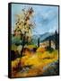 Provence 45 1107-Pol Ledent-Framed Stretched Canvas