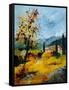 Provence 45 1107-Pol Ledent-Framed Stretched Canvas