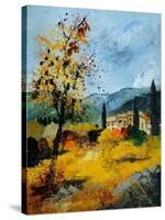 Provence 45 1107-Pol Ledent-Stretched Canvas