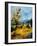 Provence 45 1107-Pol Ledent-Framed Art Print