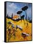 Provence 453111-Pol Ledent-Framed Stretched Canvas