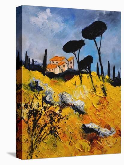 Provence 453111-Pol Ledent-Stretched Canvas