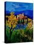 Provence 459001-Pol Ledent-Stretched Canvas