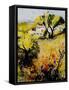 Provence 560206-Pol Ledent-Framed Stretched Canvas