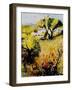 Provence 560206-Pol Ledent-Framed Art Print