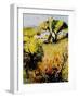 Provence 560206-Pol Ledent-Framed Art Print