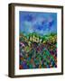 Provence 564150-Pol Ledent-Framed Art Print