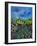 Provence 564150-Pol Ledent-Framed Art Print