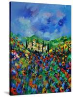 Provence 564150-Pol Ledent-Stretched Canvas