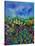 Provence 564150-Pol Ledent-Stretched Canvas