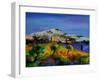 Provence 569010-Pol Ledent-Framed Art Print