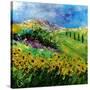 Provence 6641-Pol Ledent-Stretched Canvas