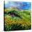 Provence 6641-Pol Ledent-Stretched Canvas