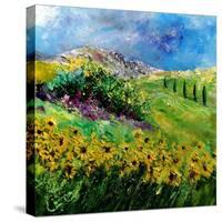 Provence 6641-Pol Ledent-Stretched Canvas