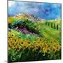 Provence 6641-Pol Ledent-Mounted Premium Giclee Print