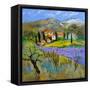 Provence 779101-Pol Ledent-Framed Stretched Canvas
