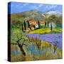 Provence 779101-Pol Ledent-Stretched Canvas