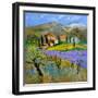 Provence 779101-Pol Ledent-Framed Art Print