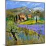 Provence 779101-Pol Ledent-Mounted Art Print