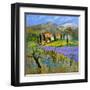 Provence 779101-Pol Ledent-Framed Art Print