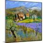 Provence 779101-Pol Ledent-Mounted Art Print