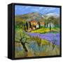 Provence 779101-Pol Ledent-Framed Stretched Canvas