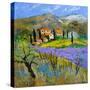 Provence 779101-Pol Ledent-Stretched Canvas