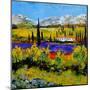 Provence 885120-Pol Ledent-Mounted Art Print