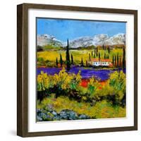 Provence 885120-Pol Ledent-Framed Art Print