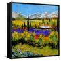 Provence 885120-Pol Ledent-Framed Stretched Canvas